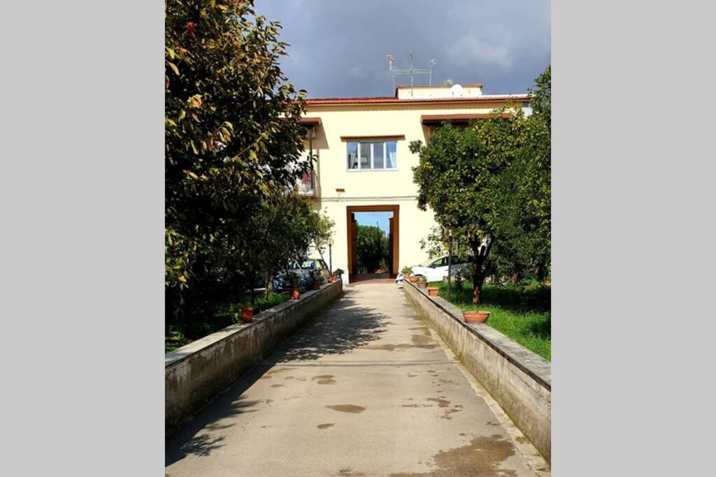 Appartamento In Villa Alle Falde Del Vesuvio نابولي المظهر الخارجي الصورة